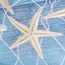 Net Shell Starfish Pattern Polyester Curtain Waterproof Bathroom Shower Curtain