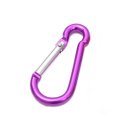 Climbing Carabiner