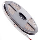 LED Light Strip Light-emitting Diode 3528SMD 300LED IP65 Blue Light DC12V 5M/Lot