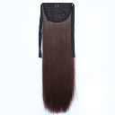 Wig Tie On Ponytail Banded Straight Hair Wig 33#