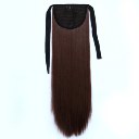 Wig Tie On Ponytail Banded Straight Hair Wig 33J