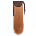 Wig Tie On Ponytail Banded Straight Hair Wig 30J