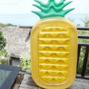 Pineapple Pool Party Float Raft Swim Rings Summer Outdoor Swimming Pool Toys