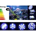 5W Blue White Beads Coral Reef Great Glare Control Pl ant Grow Light for Tank
