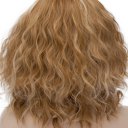 Short Curly Hair Wigs SW2101F20 Brown