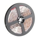 3528 5M SMD Non-Waterproof 300 LEDs Flexible Light LED Sticky Strip Light 12V