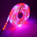 Waterproof LED Strip Light Plant Grow Lights 5050 SMD Red Blue Growing Lamp 5M