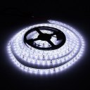 DC 24V 5M Flexible Waterproof LED Strip Lamp LED String Light Decorative Light