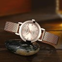 Women Luminous Waterproof Quartz Watch Luxury Style Mesh Strap Steel Watch