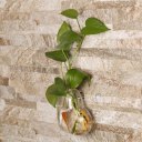 Heart Transparent Hanging Vase Plant Flower Glass Bottle Home Wedding Decor