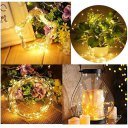 LED Copper Wire String Light Button Cell Powered Fairy Light For Wedding Party