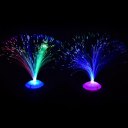 Romantic Color Changing LED Fiber Optic Nightlight for Party Home Decoration