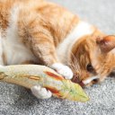 20cm Catnip Catmint Cat Favor Simulation Fish Cat Toys Fish Shape Short Plush