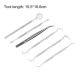 Professional 6 Pcs/set High Quality Stainless Steel Dental Tools Kit With Bag