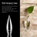 Transparent Ice-Piton Wall Hanging Vase Flower Plant Glass Bottle Home Decor