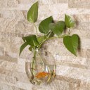 Sunflower Shaped Transparent Hanging Vase Plant Flower Glass Bottle Home Decor