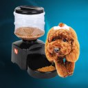 5.5L Automatic Pet Feeder with Voice Message Recording and LCD Screen