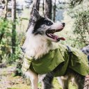 Dog Coats Small Waterproof,Warm Outfit Clothes Dog Jackets Small,Adjustable Drawstring Warm And Cozy Dog Sport Vest-(Green size 2XL)