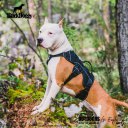 Professional Dog Harness Adjustable Pet Body Harness Vest Visible at Night Outdoor Training Harnesses Premium Quality Chest Straps No-Pull Effect--(black,size L)
