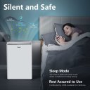 Home Air Purifier for Large Room True HEPA Air Filter Cleaner with Sleep Mode 5 Timer 3 Speed Adjustable, Activated Carbon, Great Smart Silent Air Cleaner for Pollen, Smoke,Dust,Pet Dander