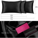 Lacette Silk Pillowcase 2 Pack for Hair and Skin, 100% Mulberry Silk, Double-Sided Silk Pillow Cases with Hidden Zipper (Black, King Size: 20